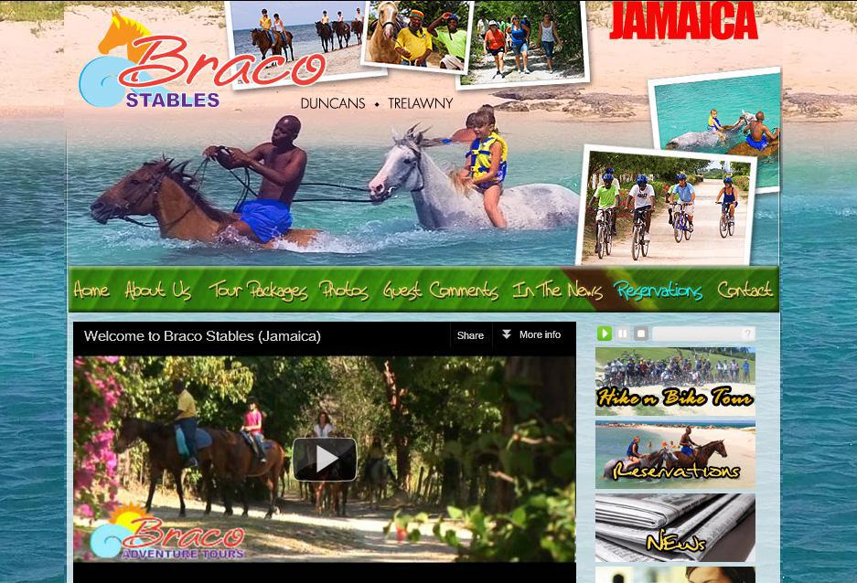 Website design and development for Braco Stables