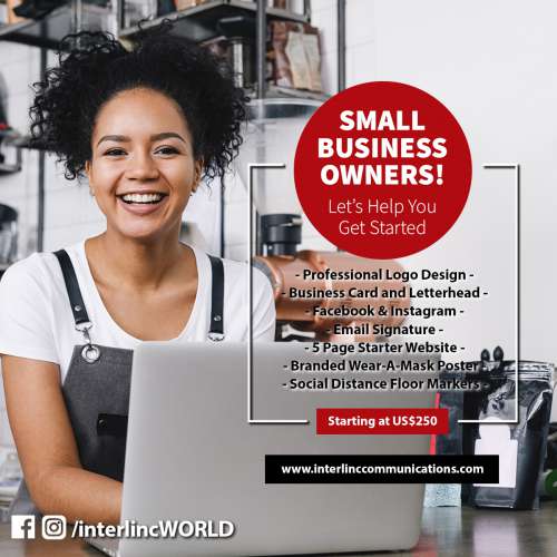 Website & Branding Bundle for Small & Micro Business - Only US$250