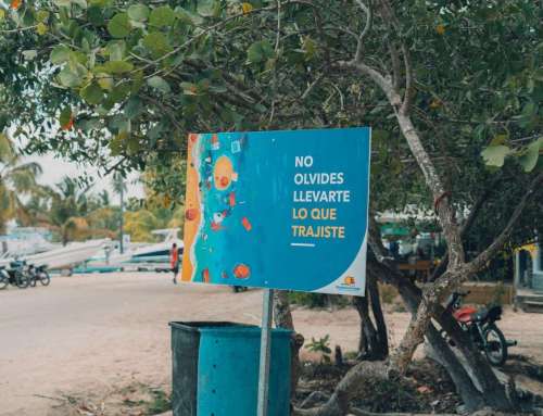 The Strategic Evolution of Digital Signage in Modern Caribbean Branding