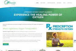 Rheolife website. Healthcare web site design development
