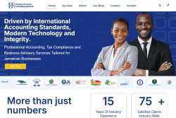 Charles O'Connor Consulting Network (COCN)